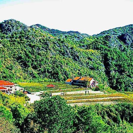Eco Winery Lipovac Apartments Цетинє Екстер'єр фото