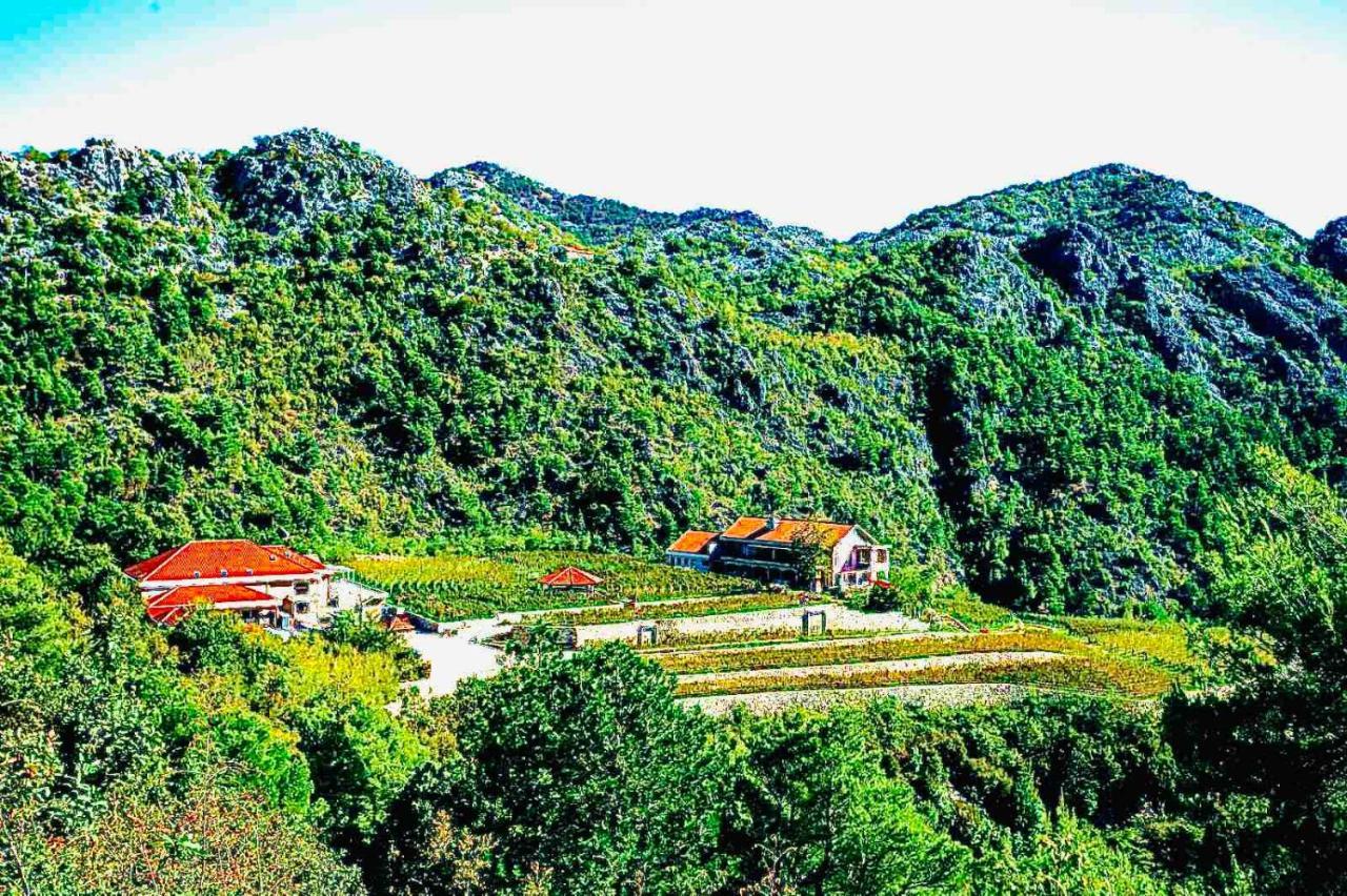 Eco Winery Lipovac Apartments Цетинє Екстер'єр фото